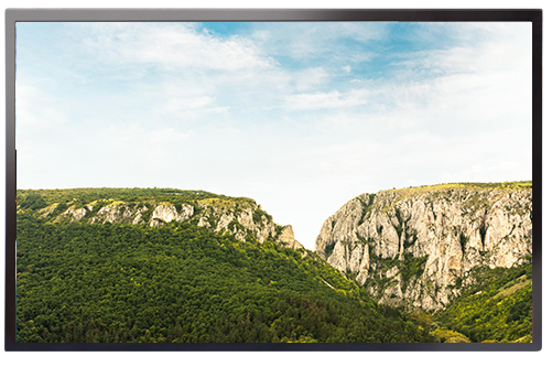 49吋工業級高亮LED顯示器 AIM-4904IPL-H