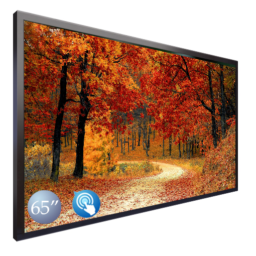 65吋 電容式多點觸控螢幕 AIM-6501CPL-TC
